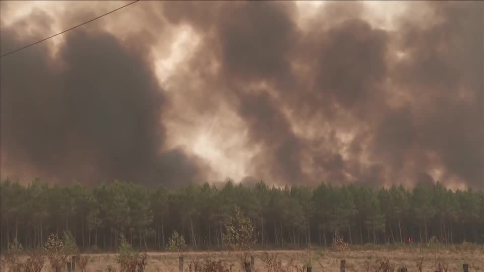 Incêndios florestais avançam e ameaçam a região de Bordeaux, na França