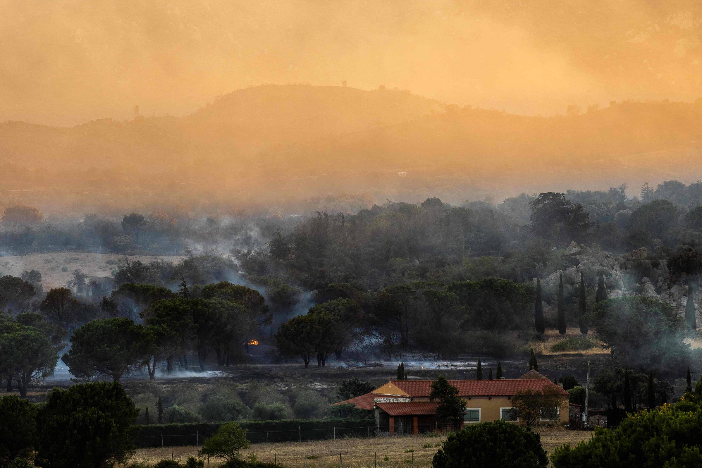 Ondas de calor intensas provocam incêndios florestais em França, Espanha e Portugal
