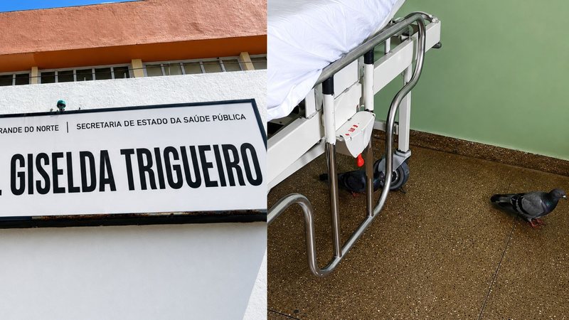 Infestação de pombos no Hospital Giselda Trigueiro coloca pacientes em risco