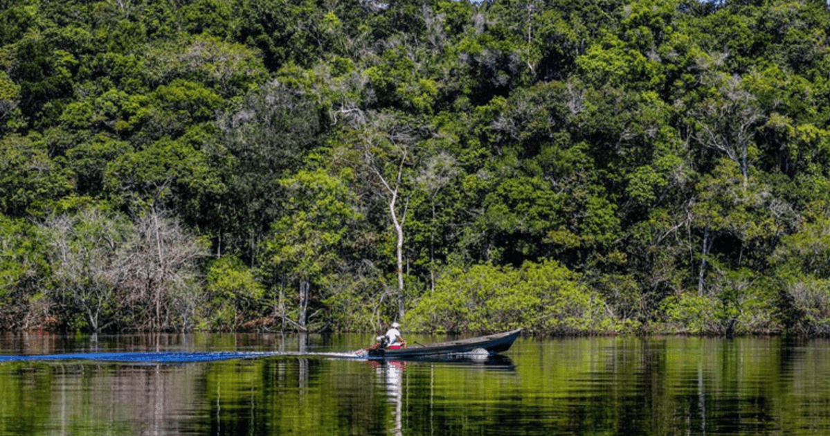 Amazônia atinge menor índice de desmatamento em dez anos