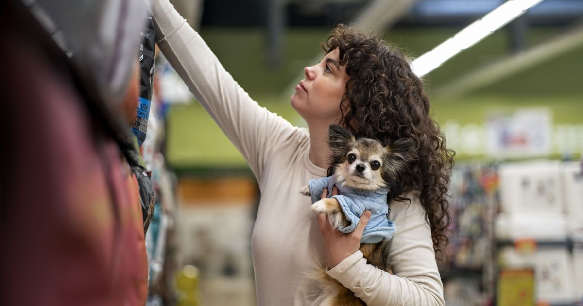 Tutores devem intensificar cuidados veterinários durante o inverno
