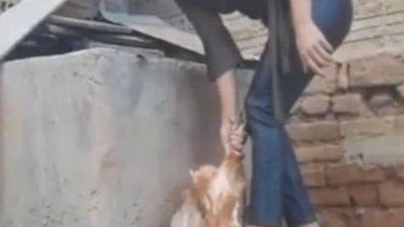 Investigada por criar canal pago de tortura animal é presa no Rio Grande do Norte