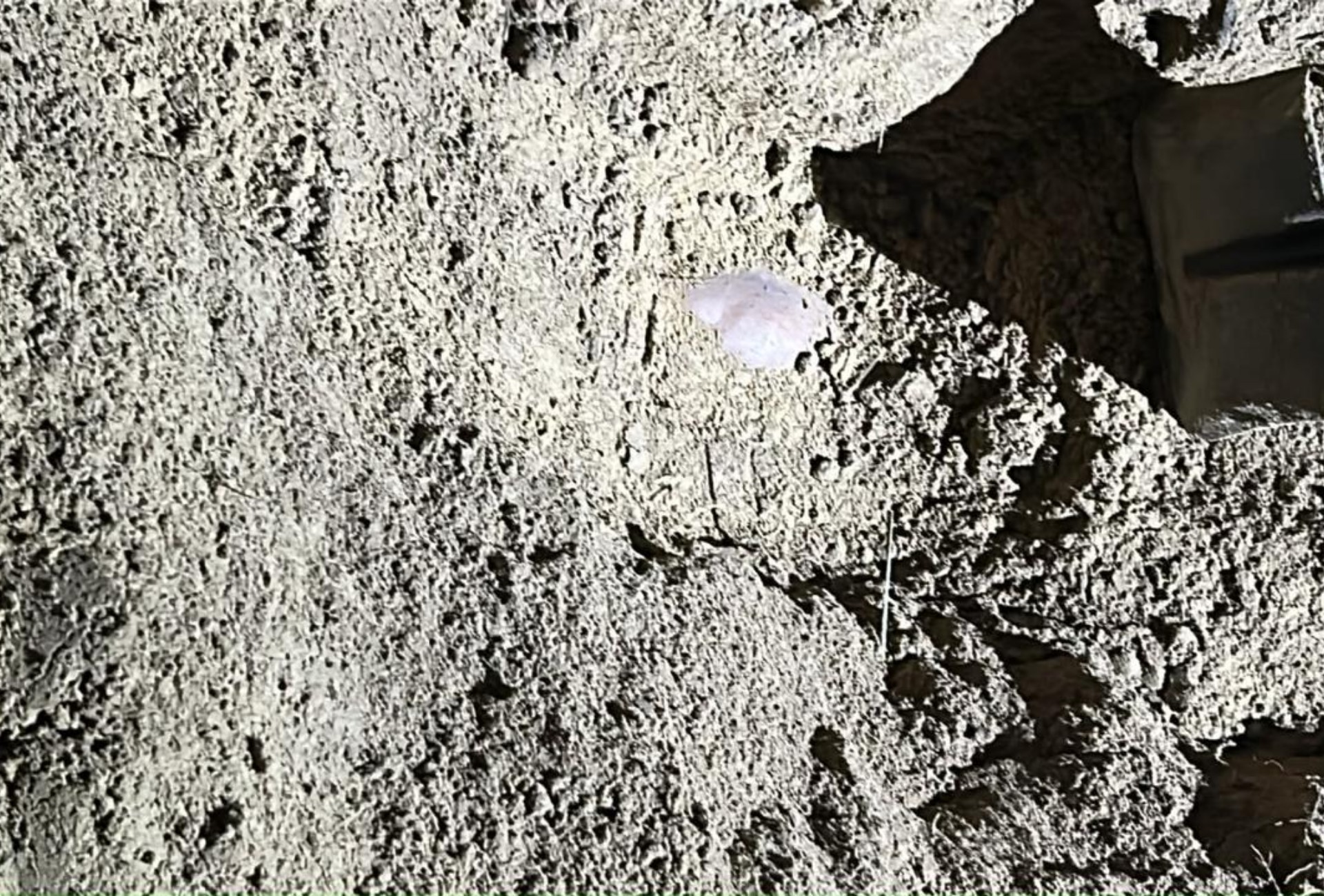 Jovem desaparecido é encontrado morto e enterrado em terreno de MS