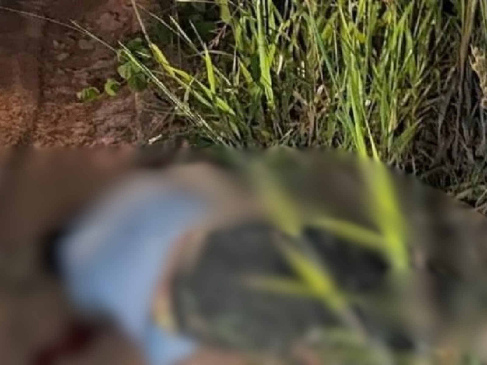 Jovem é sequestrado e morto a tiros no AC; quadrilha é presa e resgata vítimas