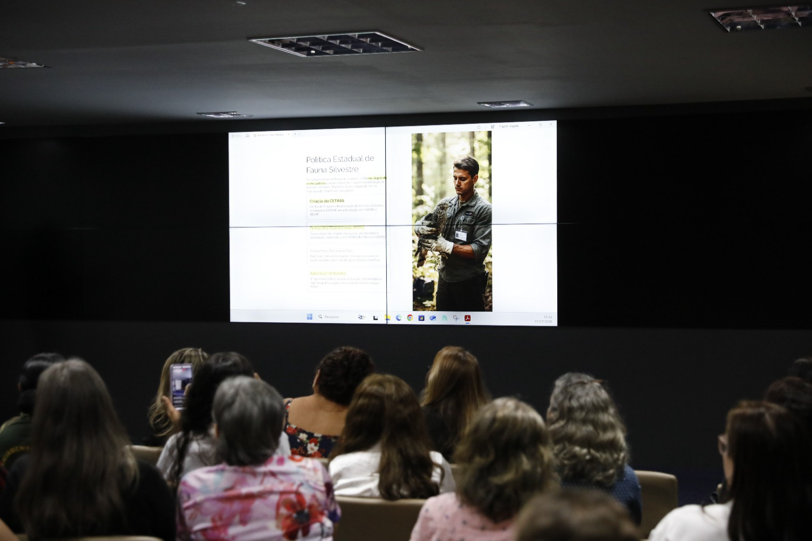 Lei Lucy sancionada no RN estabelece diretrizes para proteção animal