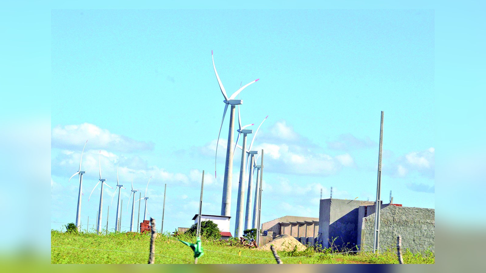 Licenciamento ambiental define rumos do desenvolvimento econômico no RN