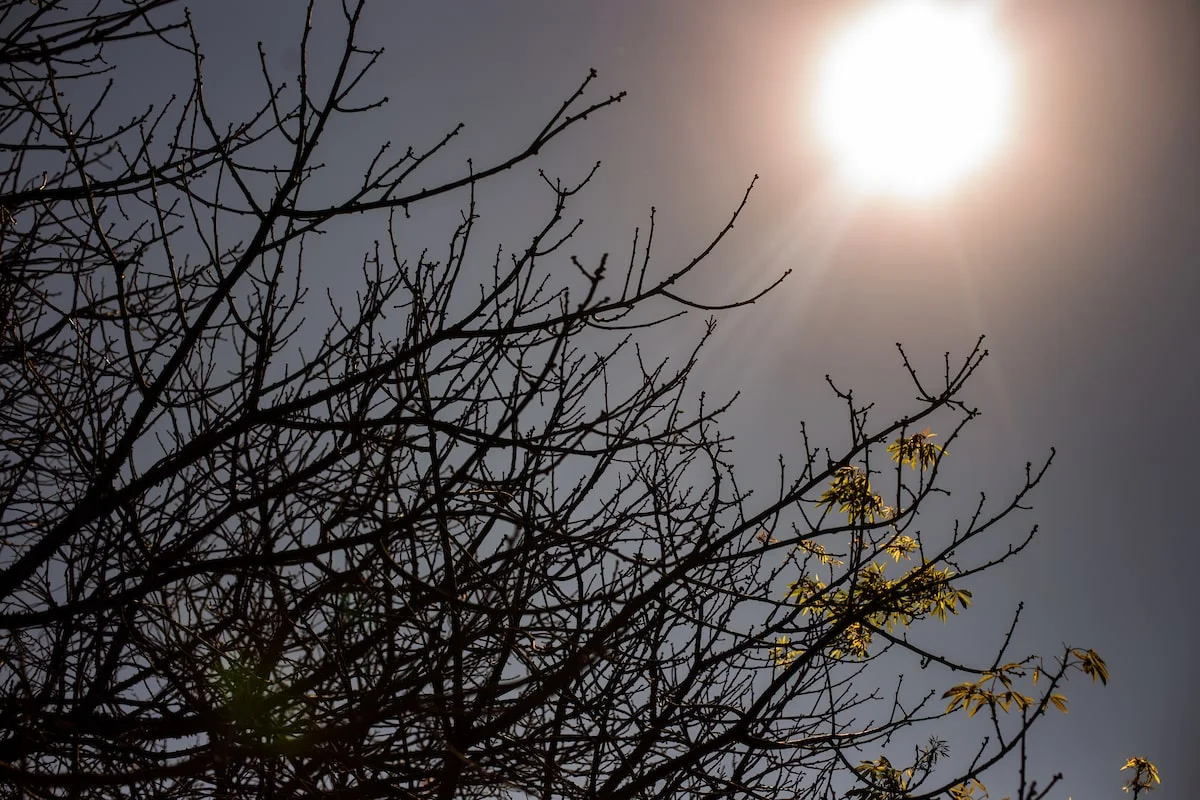 Risco de super El Niño cresce e coloca o Brasil em alerta máximo
