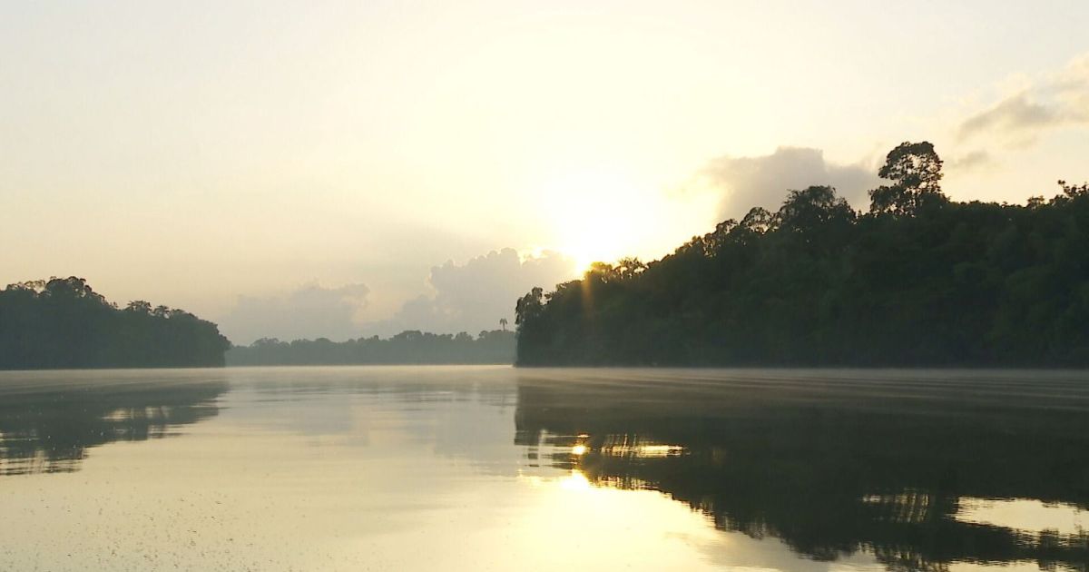 Descoberta de petróleo na Margem Equatorial renova horizonte da Petrobras