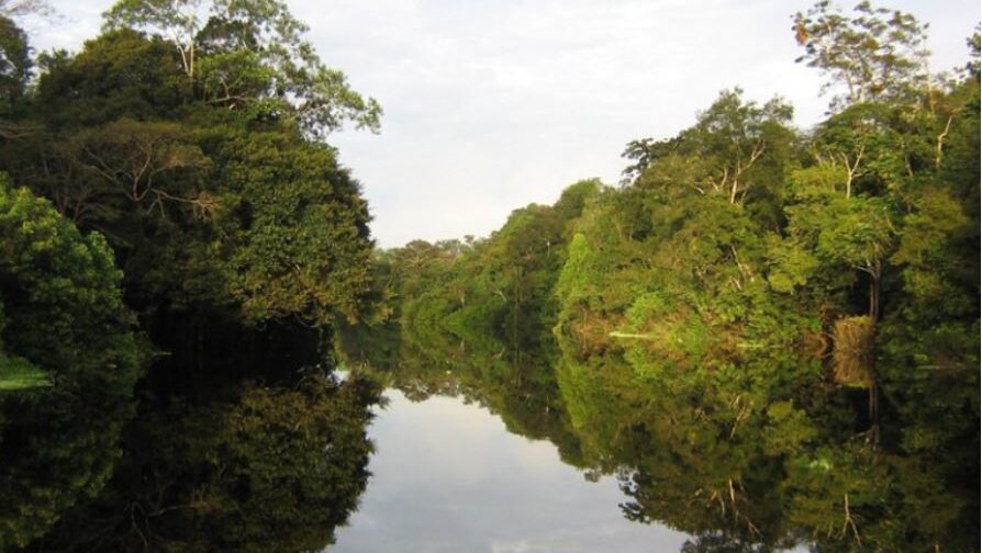 Ministério do Meio Ambiente aprova R$ 73,9 milhões para conservação de unidades