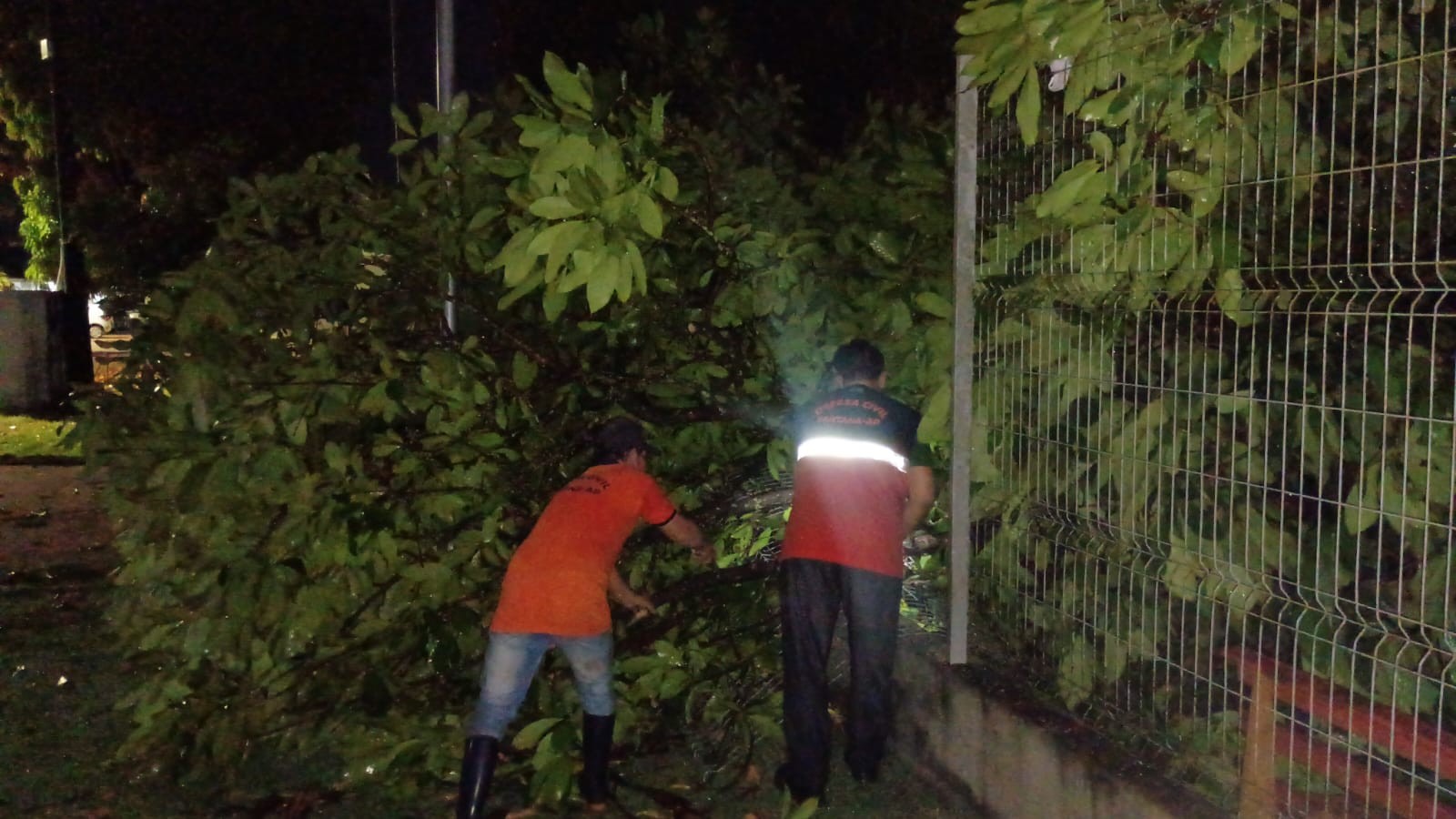 Fortes ventos provocam queda de árvores e danos em Santana, Amapá