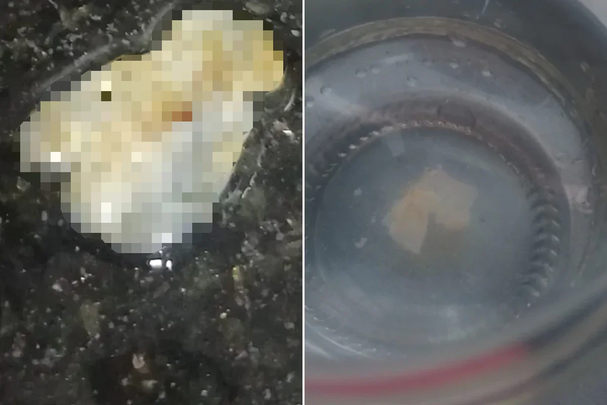 Moradores de BH acham 'restos de égua' na água; Copasa nega