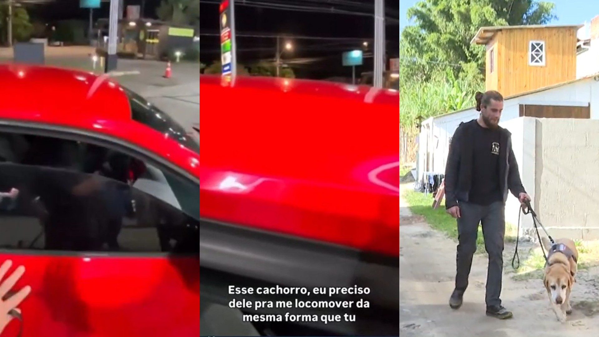 Motorista de aplicativo se recusa a transportar cego com cão-guia em Florianópolis
