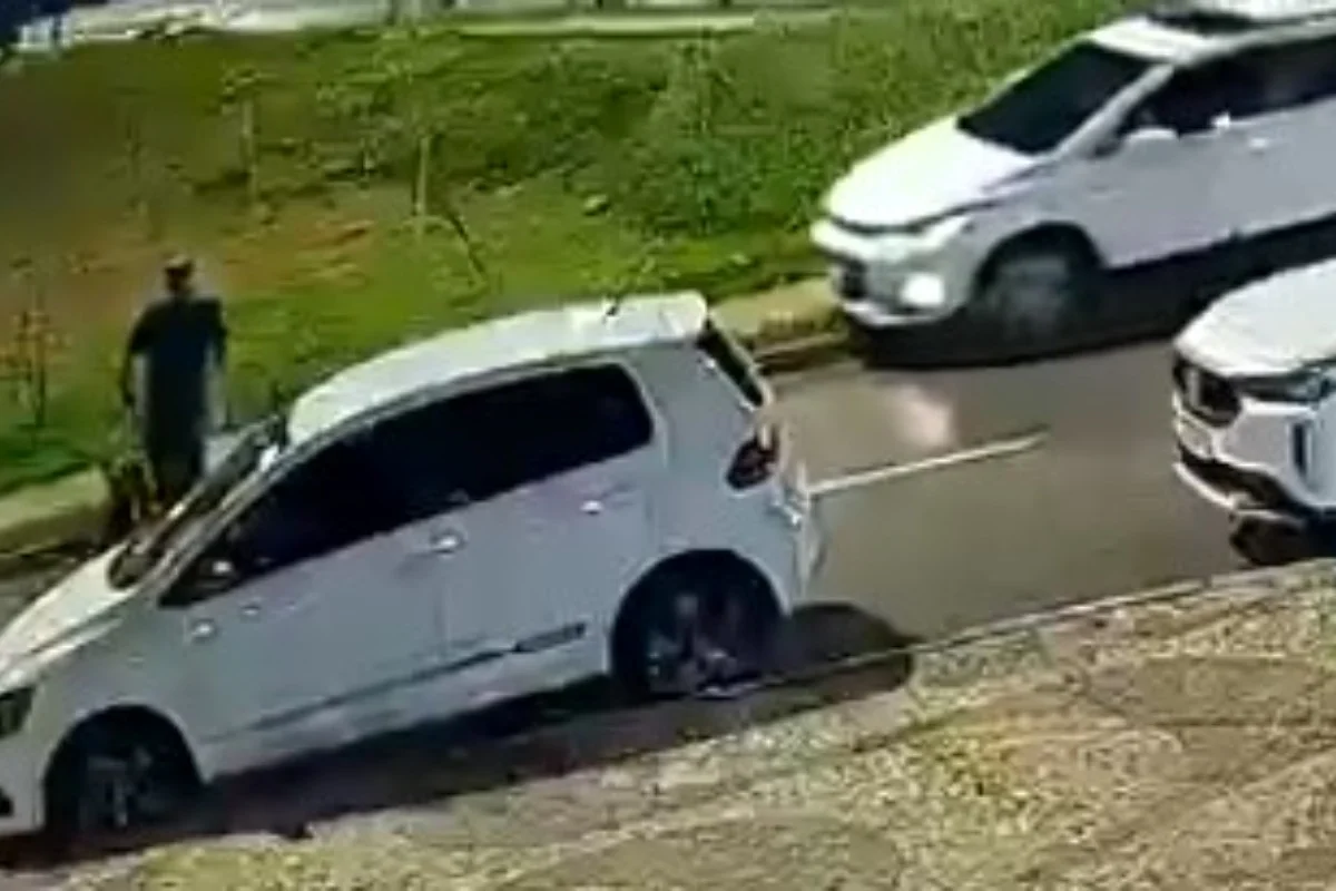 Motorista atropela pedestre cego e cão-guia em Águas Claras e foge sem prestar socorro