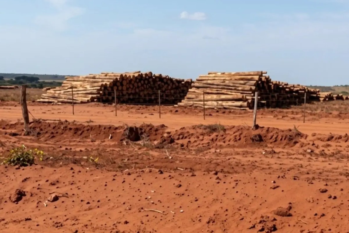 MPMS investiga impactos ambientais da expansão da celulose em Mato Grosso do Sul