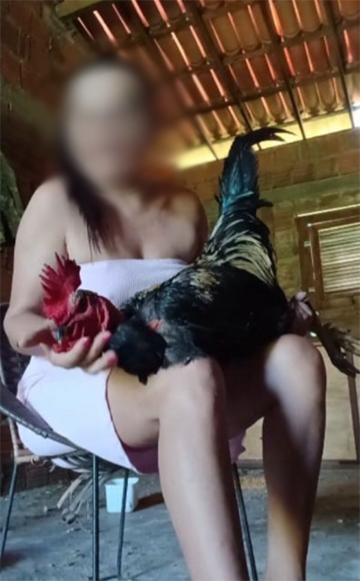 Mulher é investigada por suspeita de maus-tratos a animais no RN