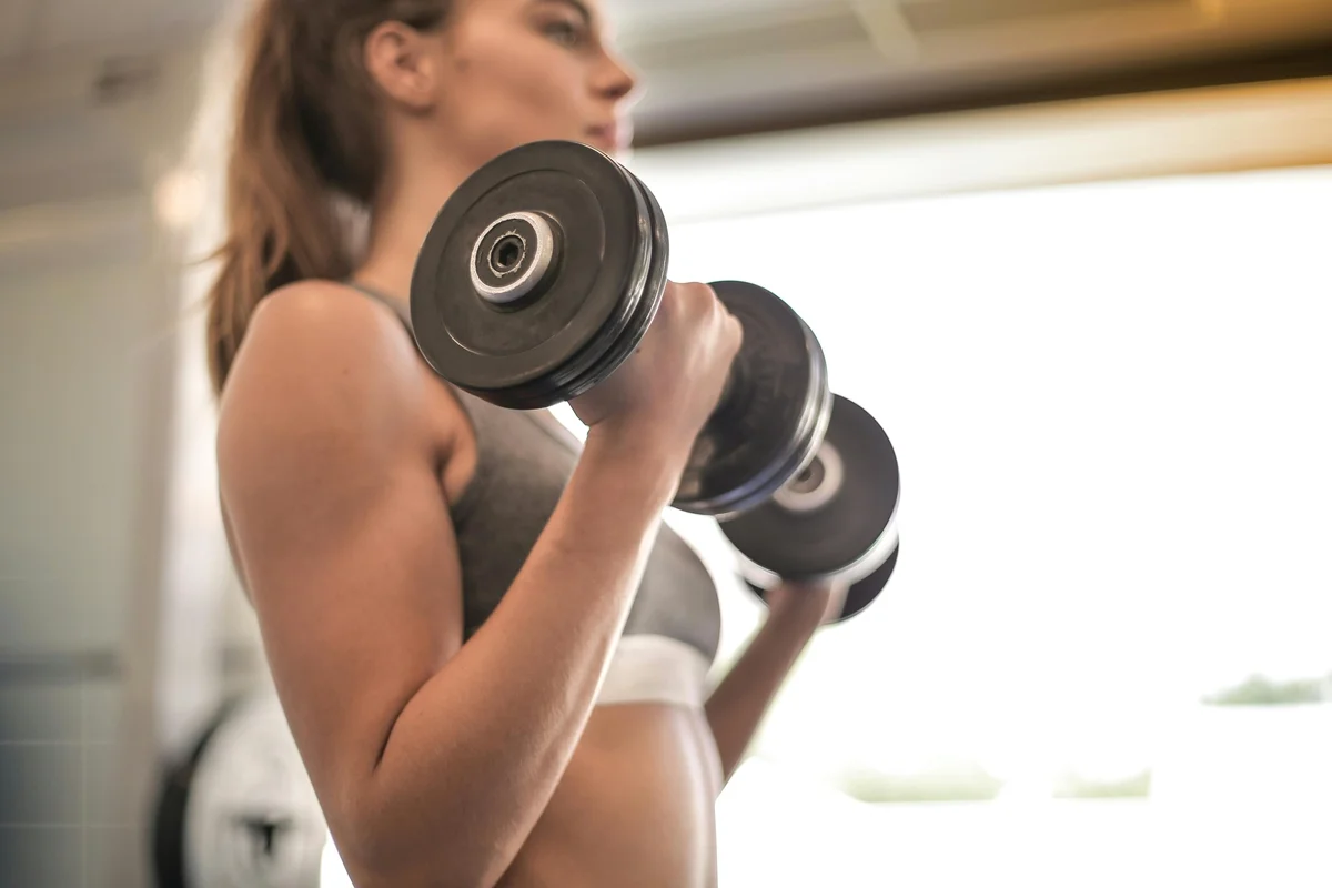 Musculação reverte danos hepáticos causados pela obesidade, aponta estudo da Unicamp
