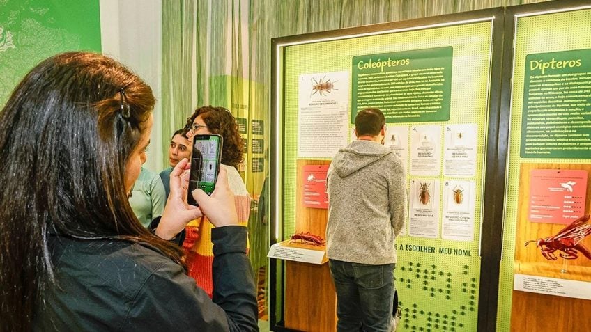 Museu de Zoologia da USP destaca pequenos animais da Amazônia em nova exposição