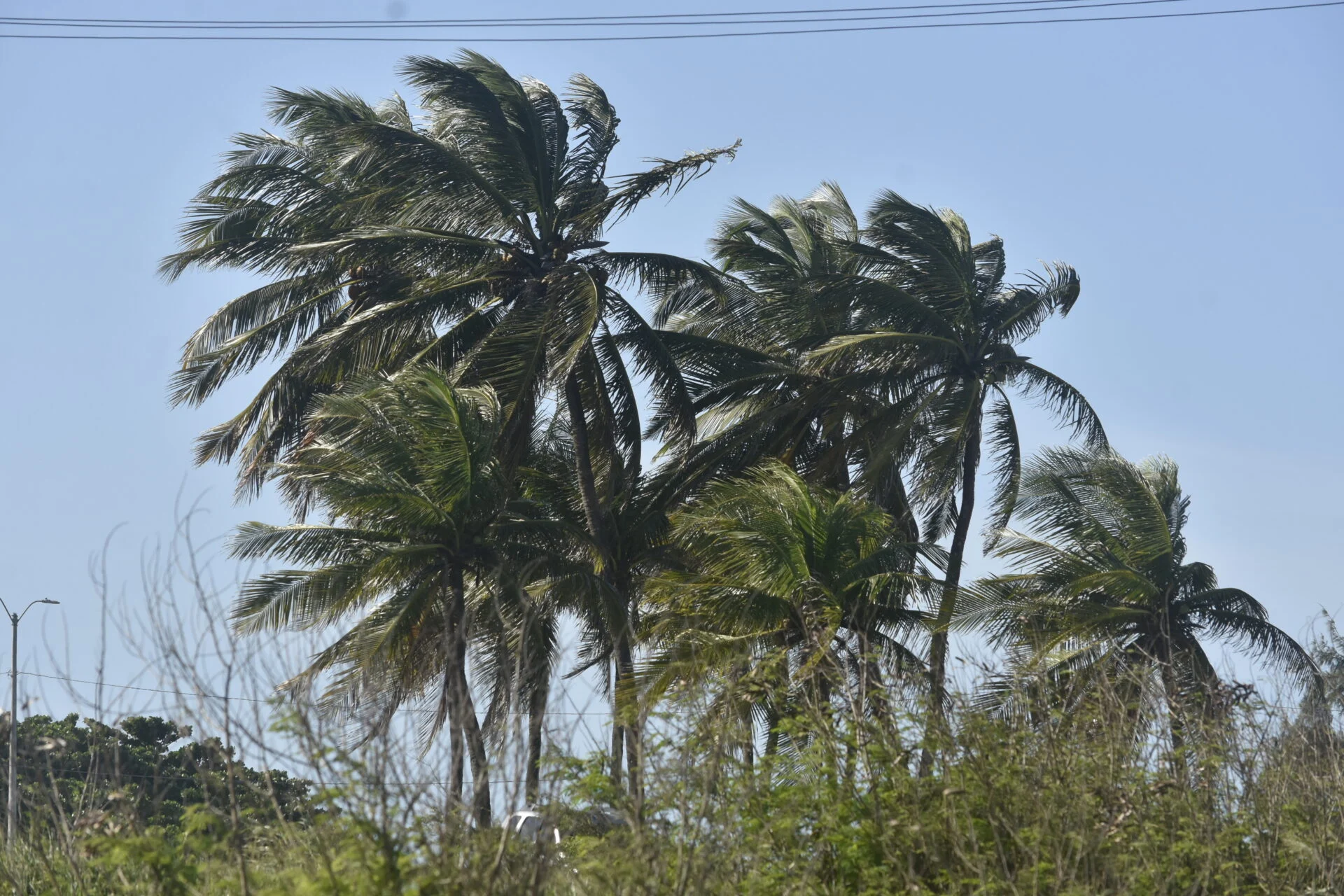 Inmet emite alerta de ventos fortes para Natal e mais 133 municípios do RN