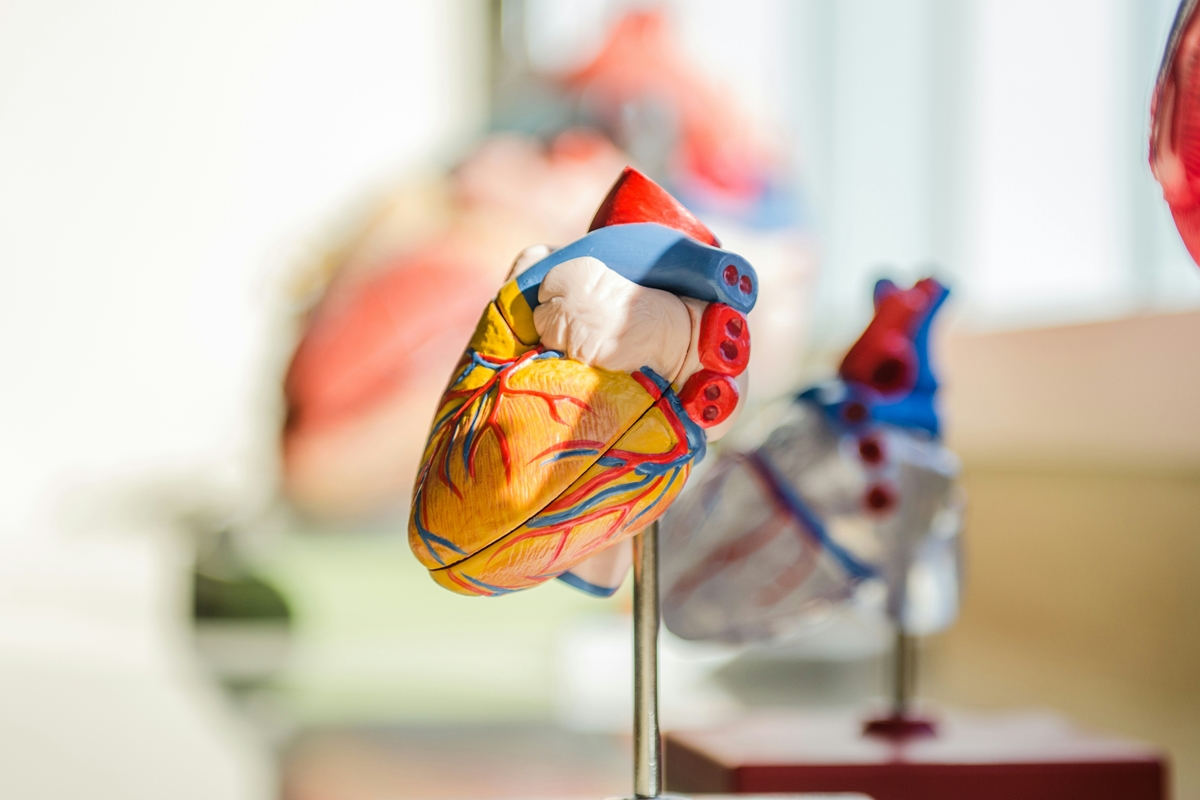 Dor no peito: nem todo sintoma indica infarto, mas sinais de alerta exigem atenção