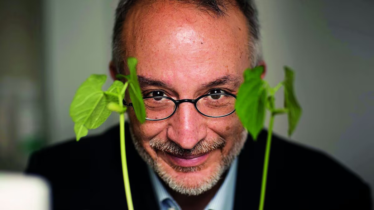 Stefano Mancuso defende que inteligência vegetal é subestimada e inspira soluções para o século XXI