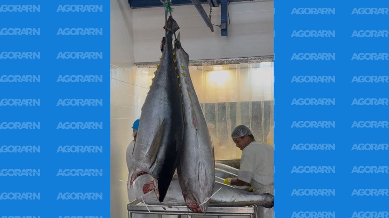 EUA propõe nova tarifa que ameaça a pesca potiguar e 1,5 mil empregos