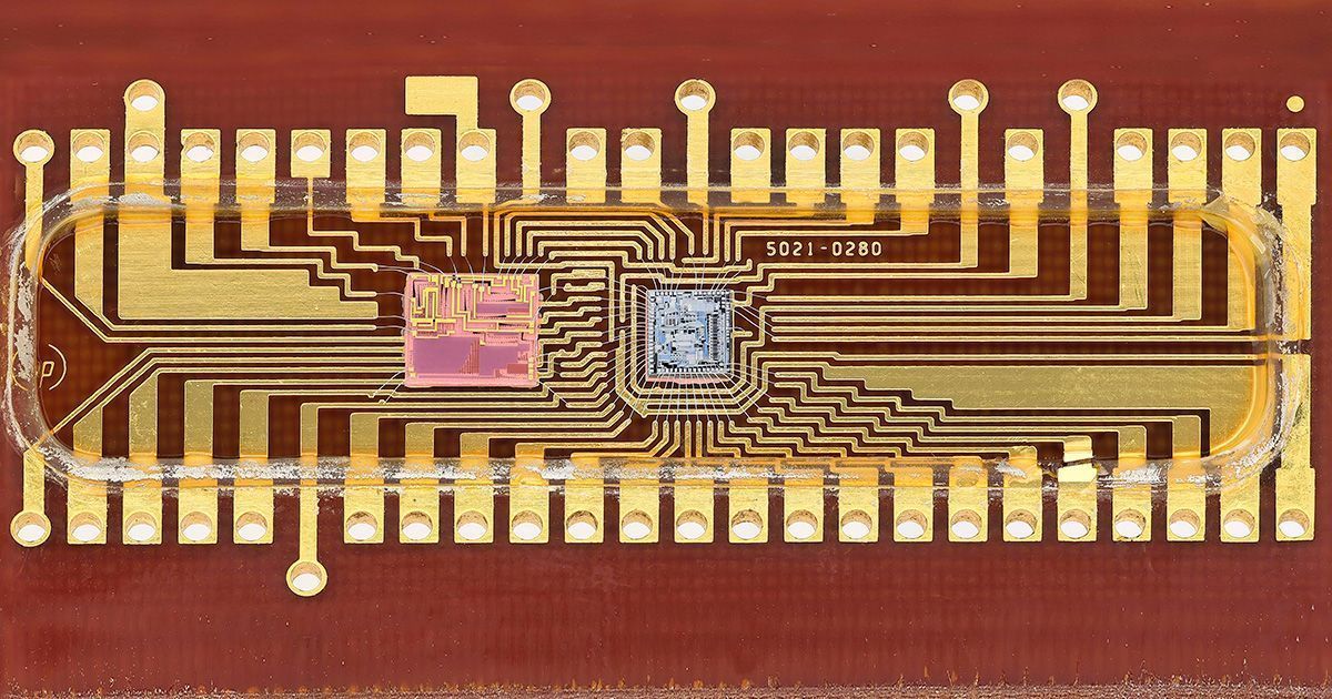 Cientistas brasileiros criam chip inovador que agiliza exames clínicos em larga escala