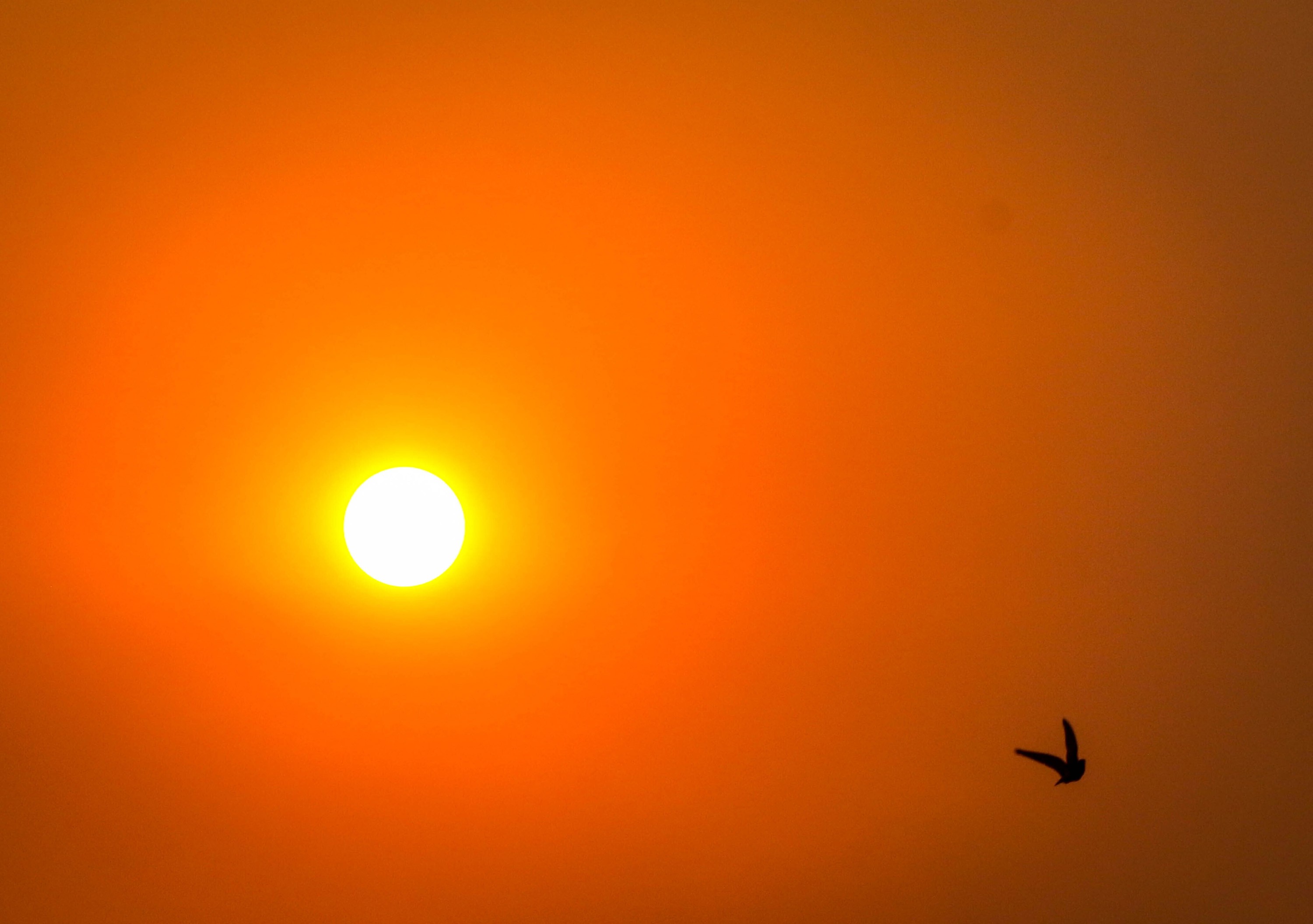 Novo veranico eleva termômetros para até 42°C em seis estados brasileiros