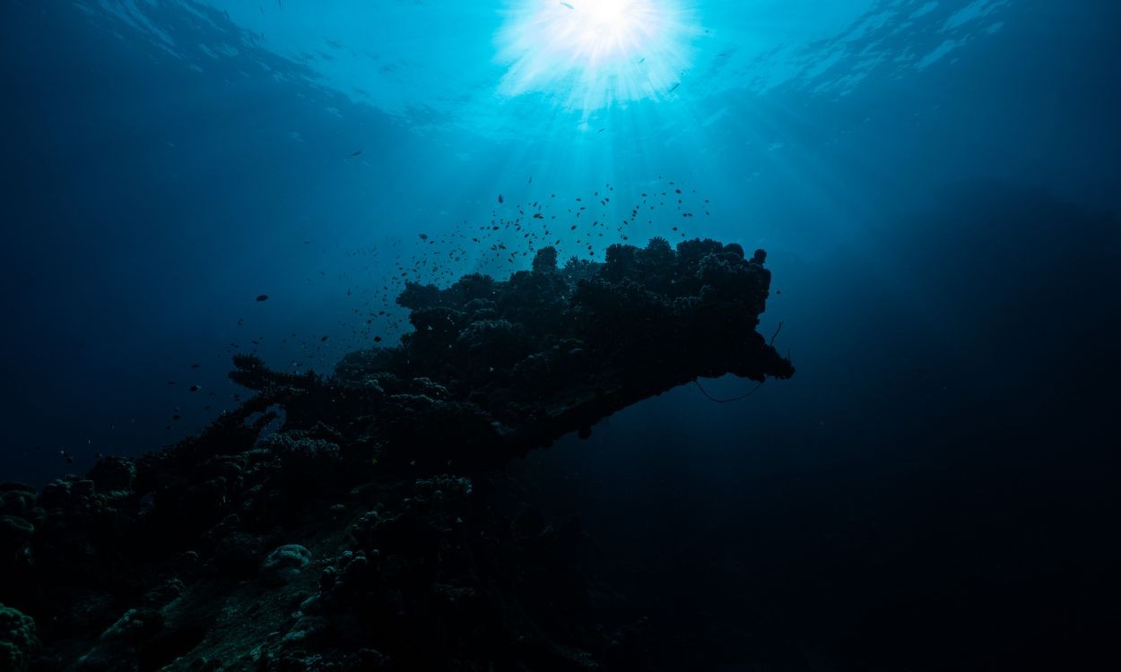 Oceanos registram recorde de calor em junho, com alerta de novas máximas em 2026