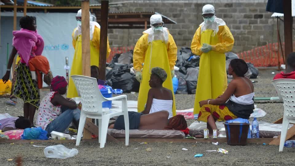Organização Mundial da Saúde anuncia plano de US$ 518 milhões para combater o Ebola