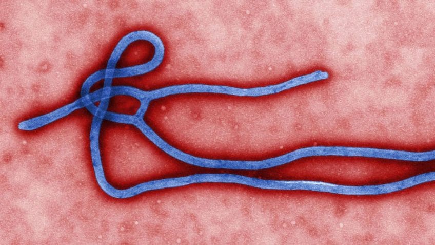 OMS aponta que surto de ebola na República Democrática do Congo pode ter iniciado em janeiro