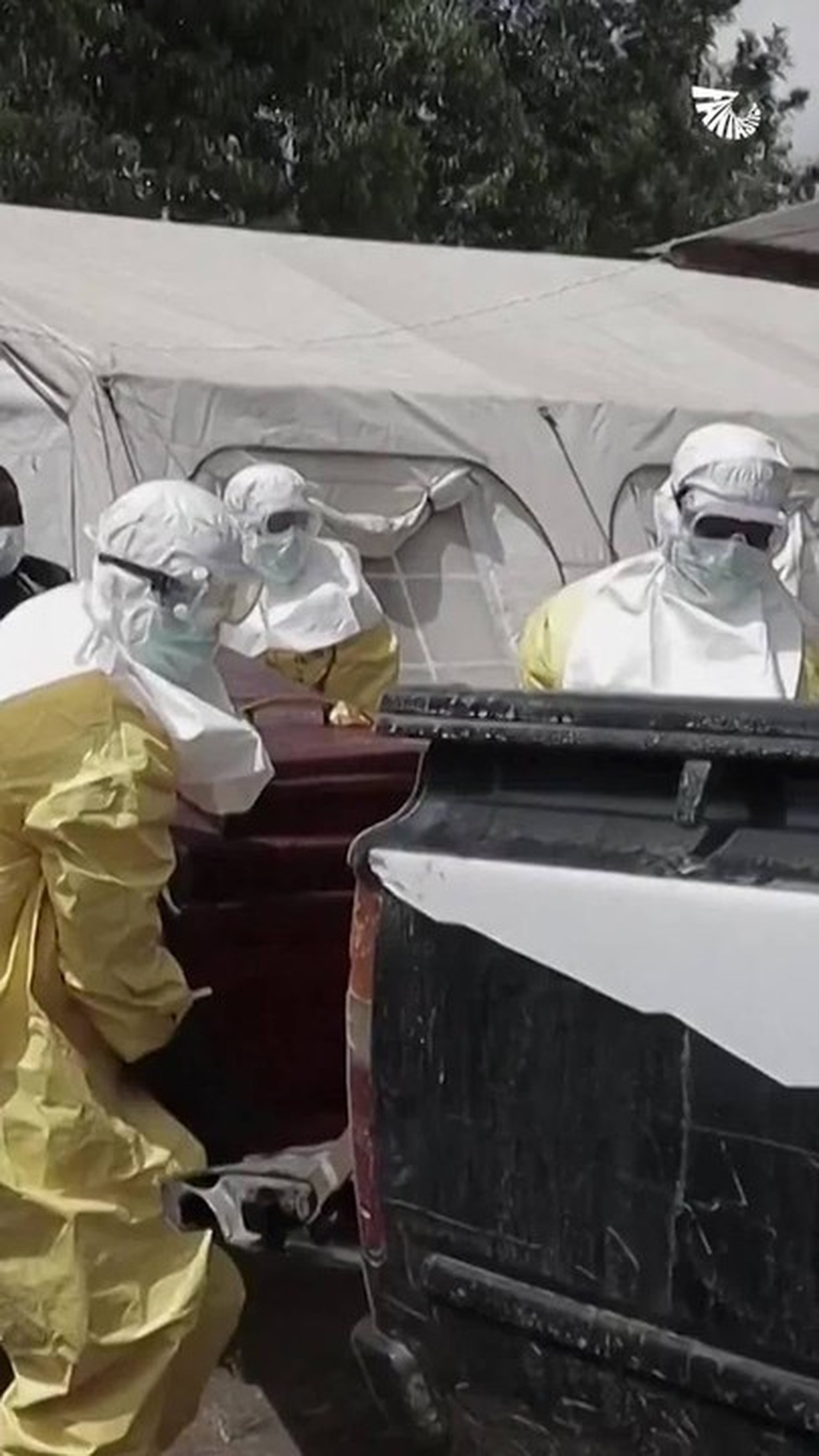OMS prioriza tratamentos e vacinas experimentais contra Ebola para testes clínicos