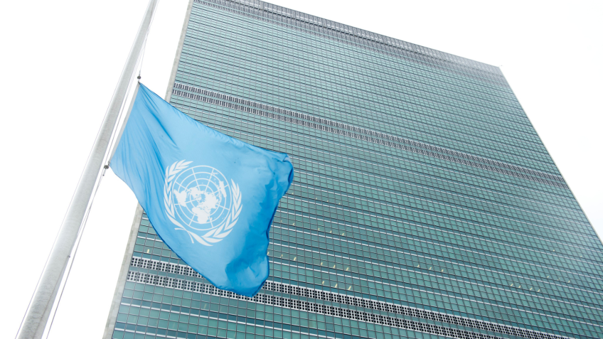 ONGs acionam ONU contra decisão do Senado sobre aborto legal de menores