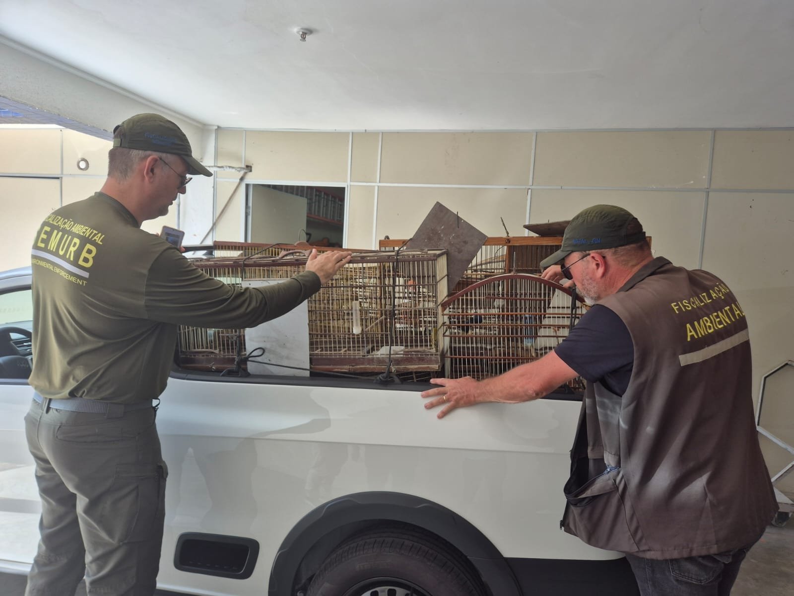 Operação conjunta resgata 54 aves mantidas em cativeiro na Vila de Ponta Negra
