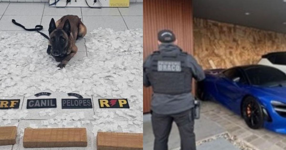 Operação integrada causa prejuízo de R$ 213 milhões ao crime organizado