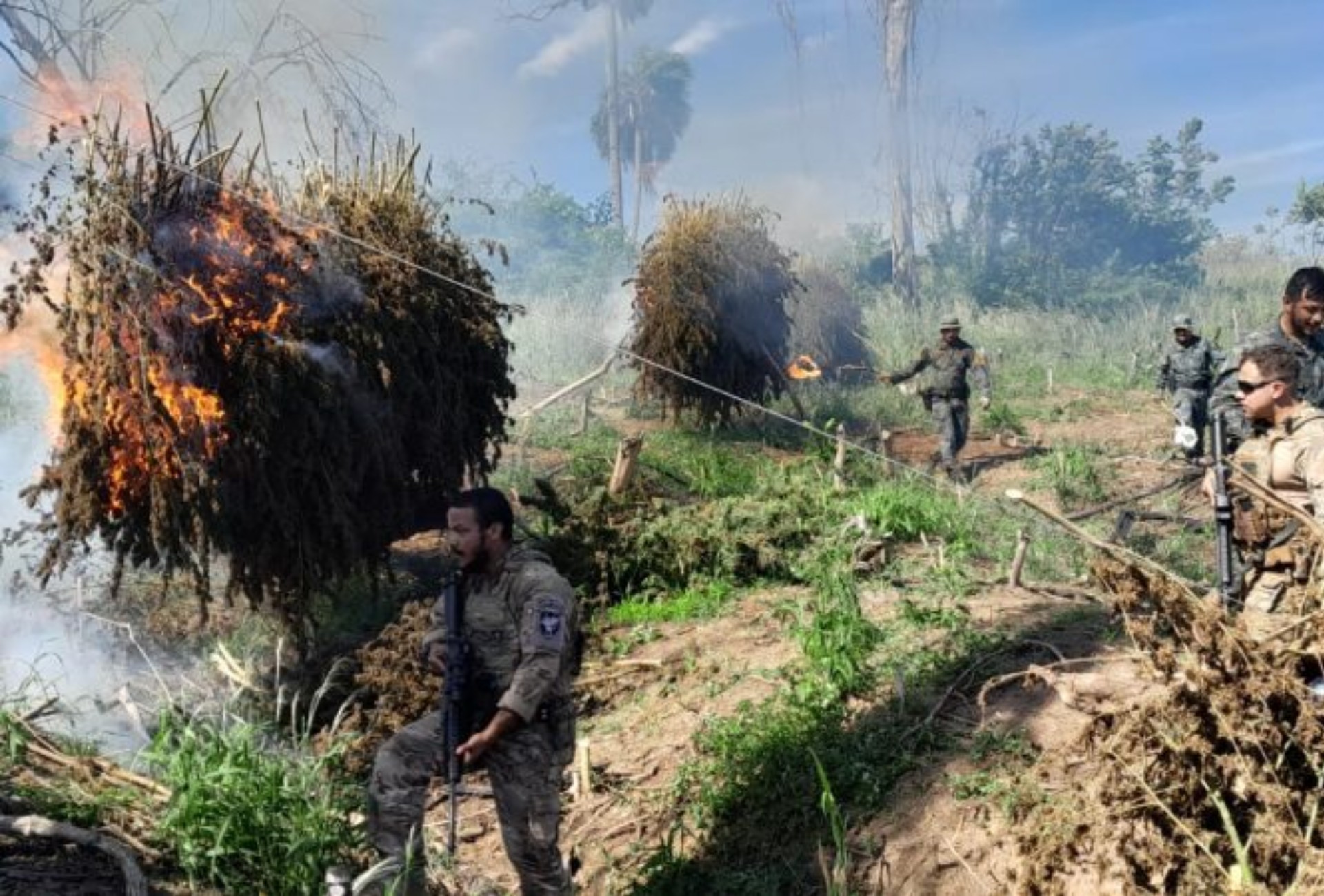 Forças Brasil-Paraguai destroem 809 toneladas de maconha na fronteira com MS