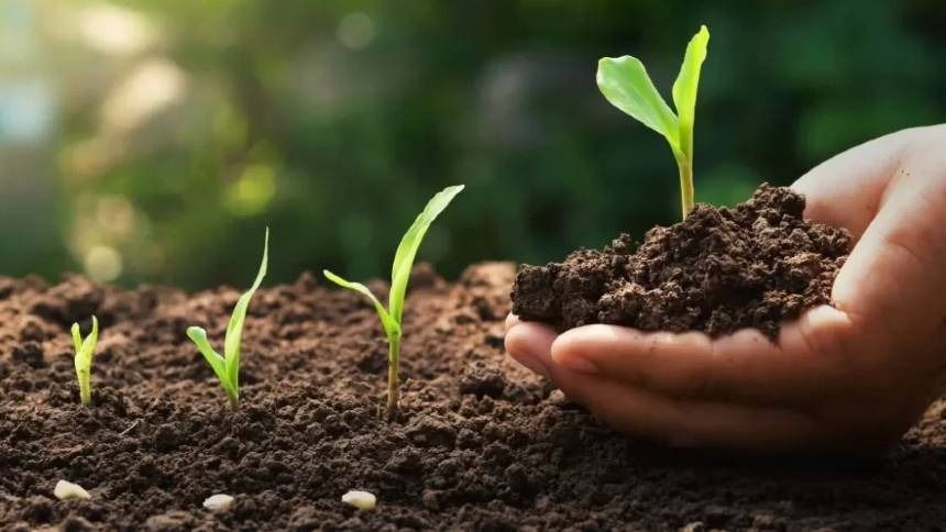 Brasil e Noruega fortalecem comércio de fertilizantes em meio a tensões globais
