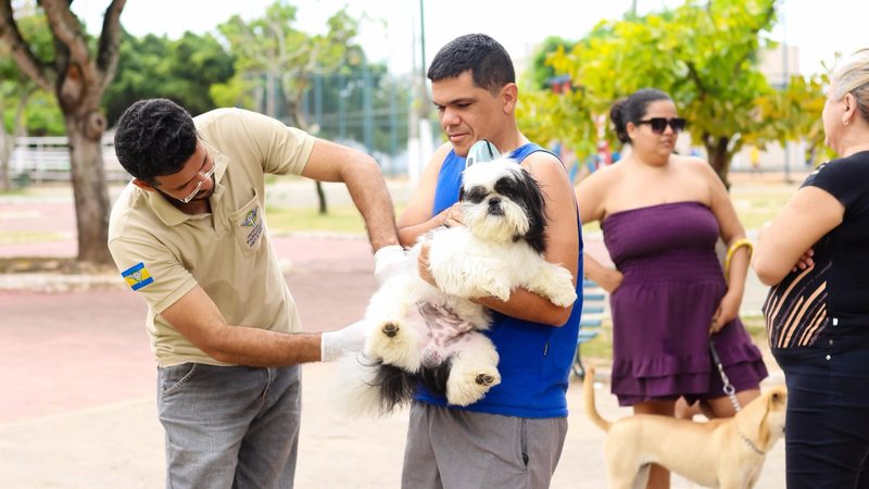 Prefeitura de Parnamirim amplia proteção contra a raiva com vacinação gratuita para pets