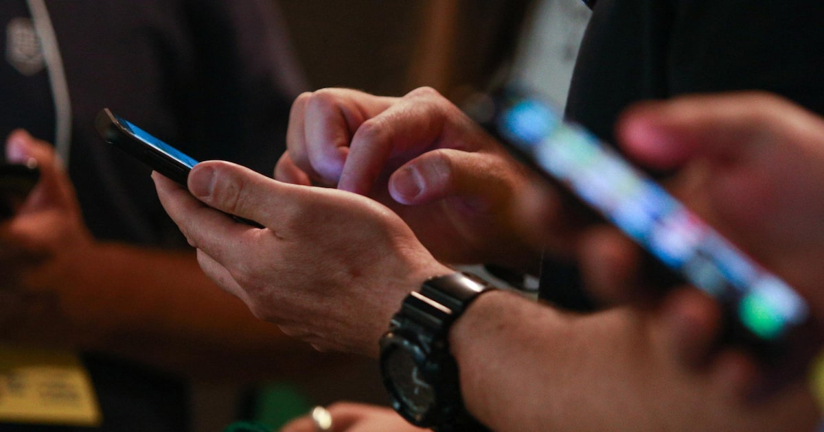 Senado discute futuro de bens digitais após a morte