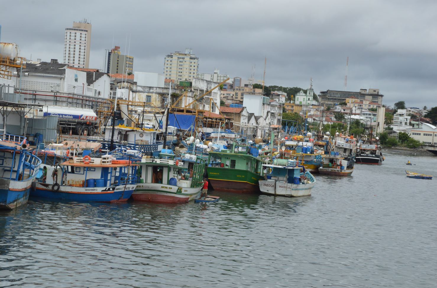 Setor pesqueiro do RN teme nova tarifa dos Estados Unidos e vê exportações travadas