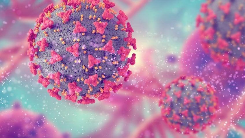 Estudo da Unifesp identifica proteína SDC4 como alvo para conter metástase