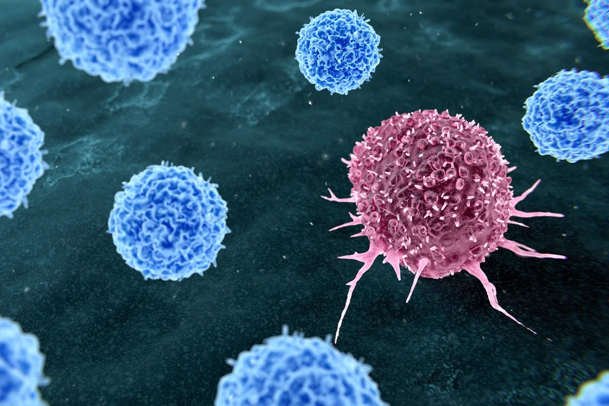 New discovery: Protein METTL3 fuels breast cancer spread, study finds