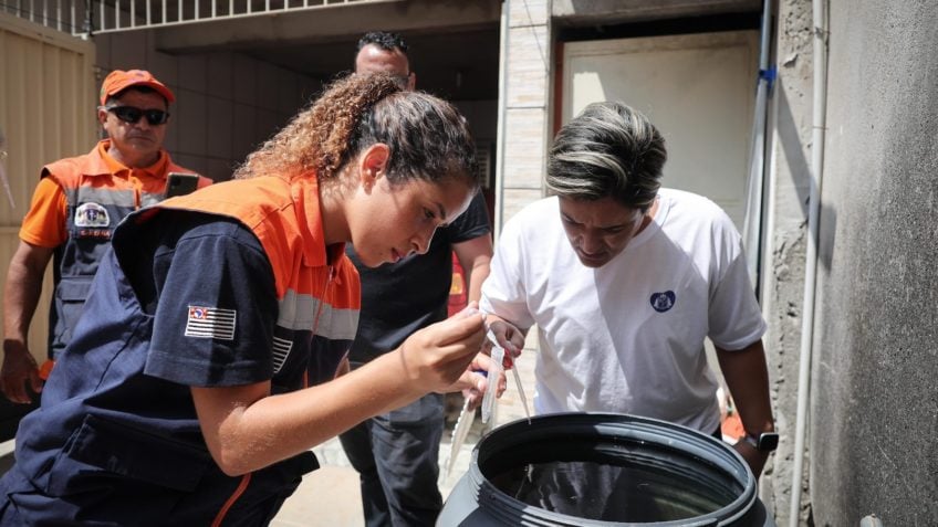 IA mapeia riscos de dengue por bairro em SP para antecipar surtos