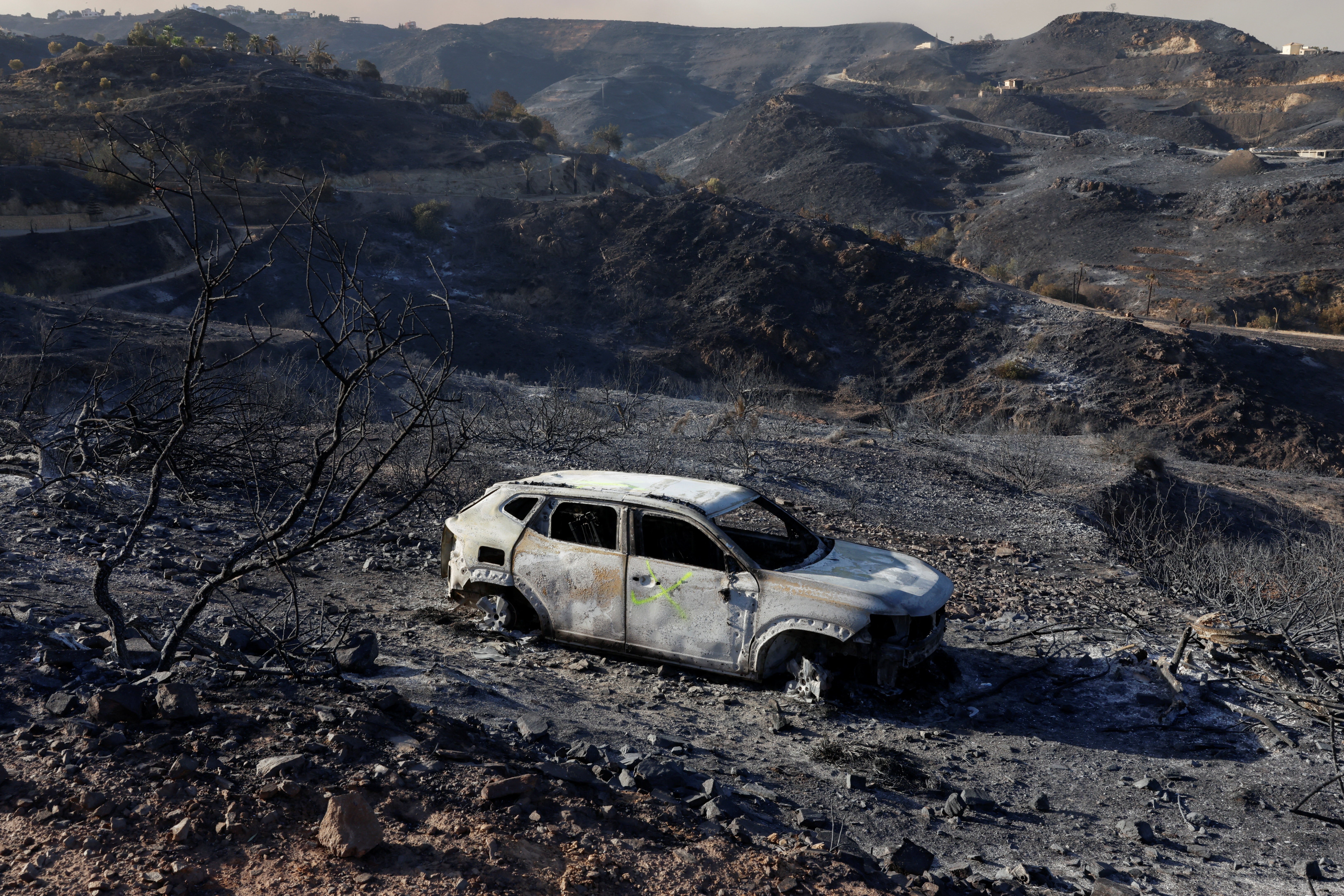 Tragédia na Espanha: doze mortos confirmados em incêndios florestais em Almería