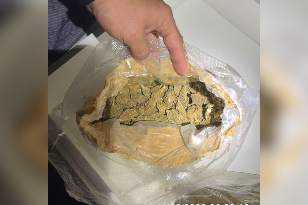 Polícia Federal desarticula esquema de envio de drogas pelos Correios