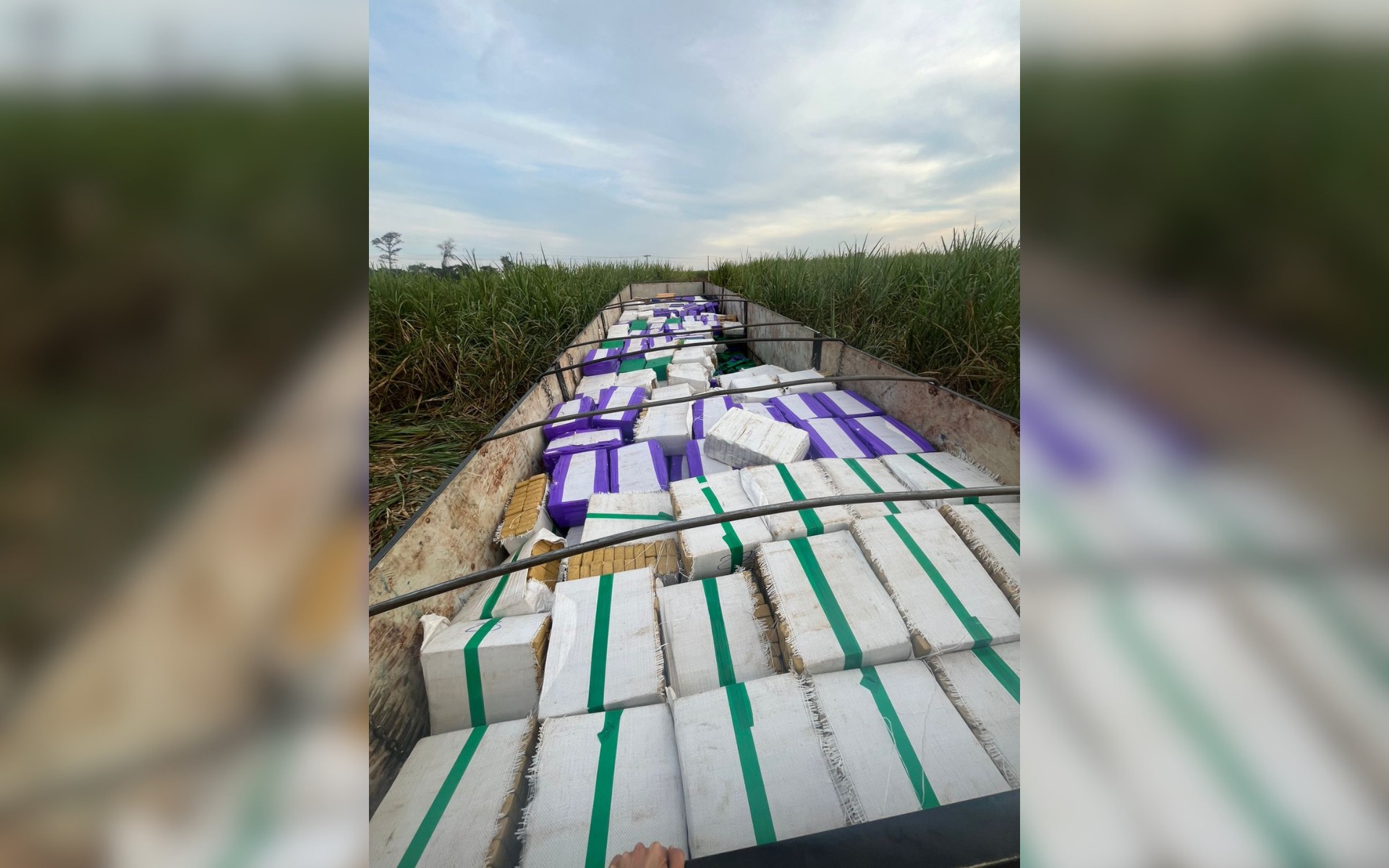 Polícia Federal apreende 24 toneladas de maconha em carreta no noroeste de SP