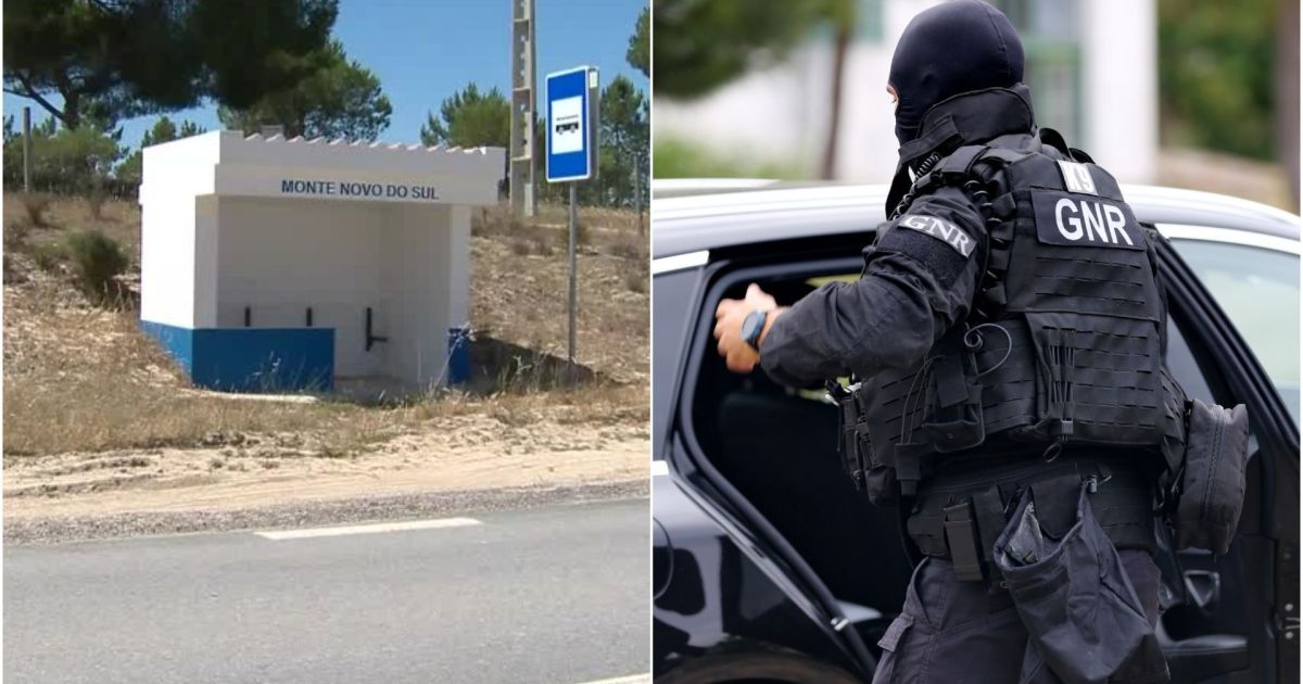 Mulher é detida em Portugal sob suspeita de abandonar filhos em estrada