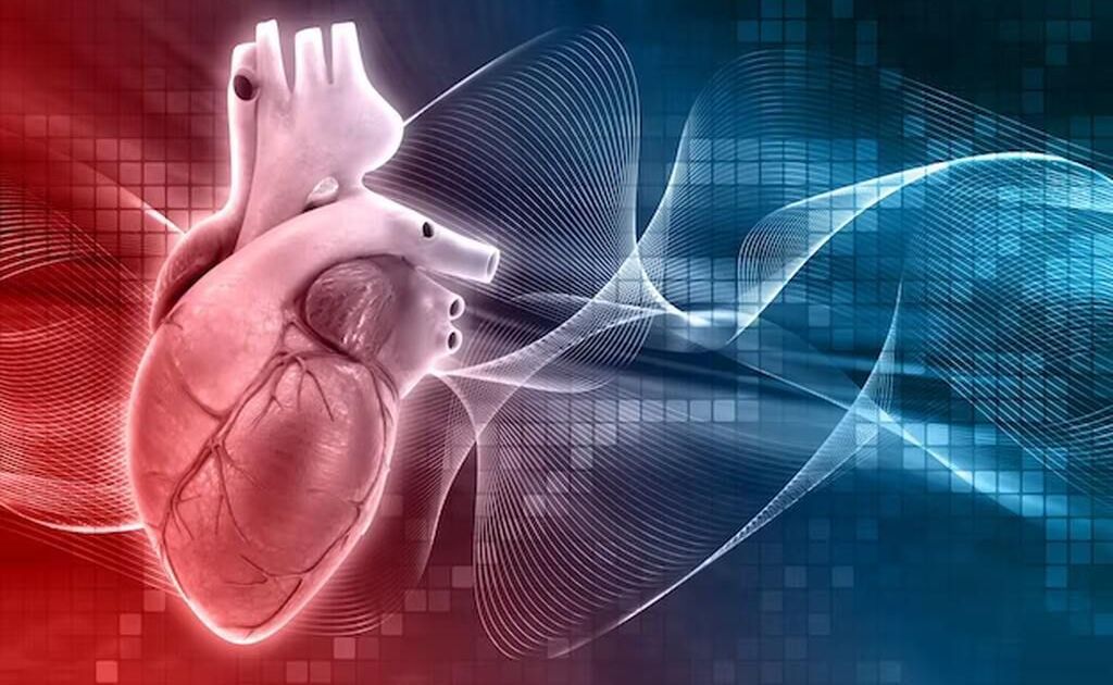 Por que o LDL não é o único indicador para prevenir infarto ou AVC
