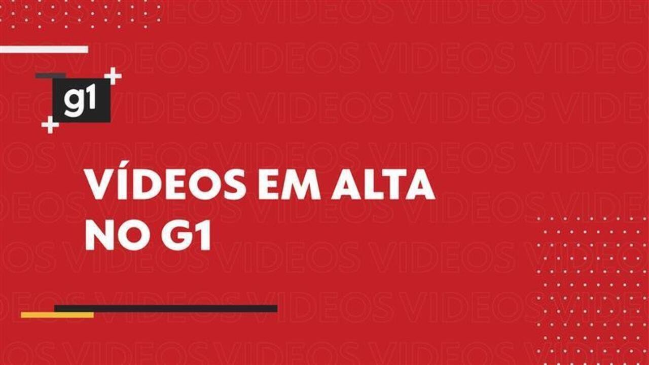 Cientistas alertam: inatividade infantil pode gerar impactos duradouros na saúde e cognição