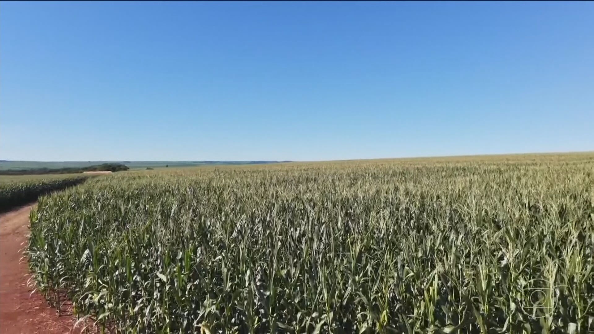 El Niño intenso deixa safras tropicais vulneráveis, alerta NOAA