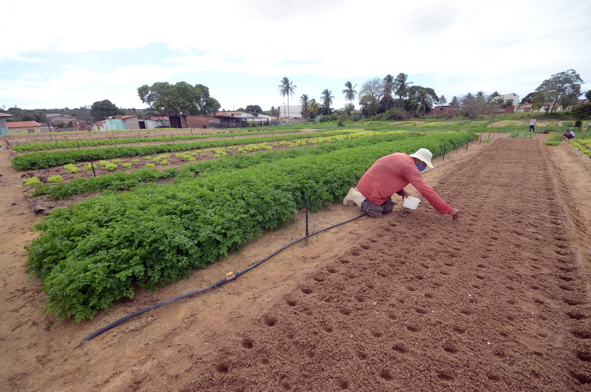 EMATER/RN abre seleção de bolsistas para atividades rurais e da agricultura familiar no RN